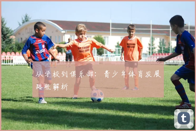 从学校到俱乐部:青少年体育发展路径解析